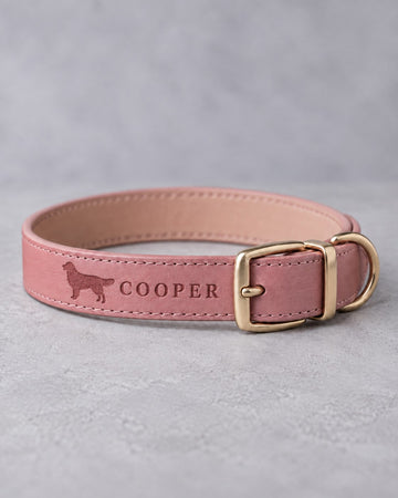 Pink Parisian Blossom leather dog collar with a golden retriever silhouette and the name COOPER debossed, brass buckle