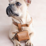 Matching leather poop-bag holder with the dog's name, from the harness and leash set