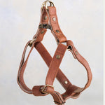 Reddish brown leather dog harness in Arizona with adjustable straps