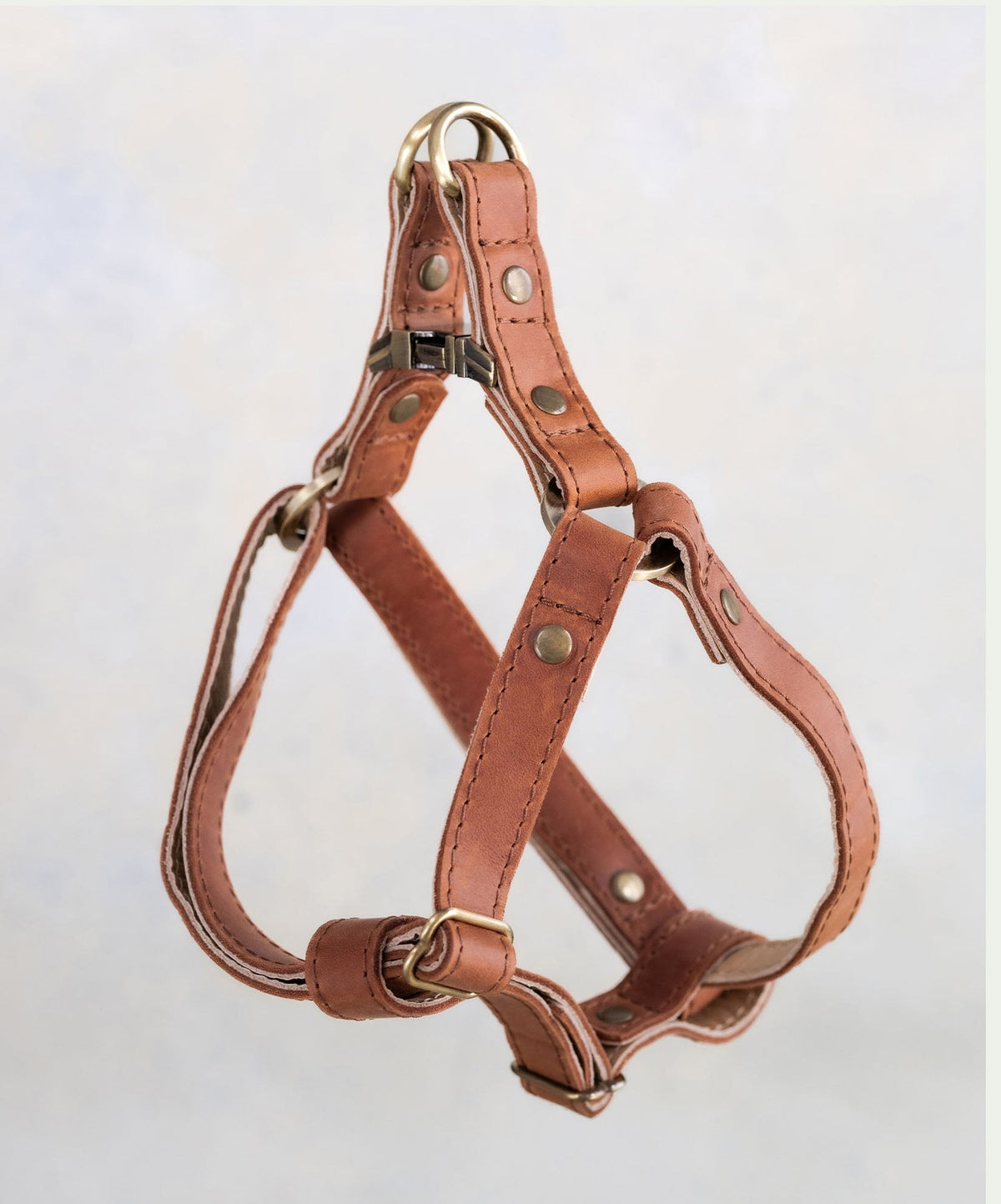 Reddish brown leather dog harness in Arizona with adjustable straps
