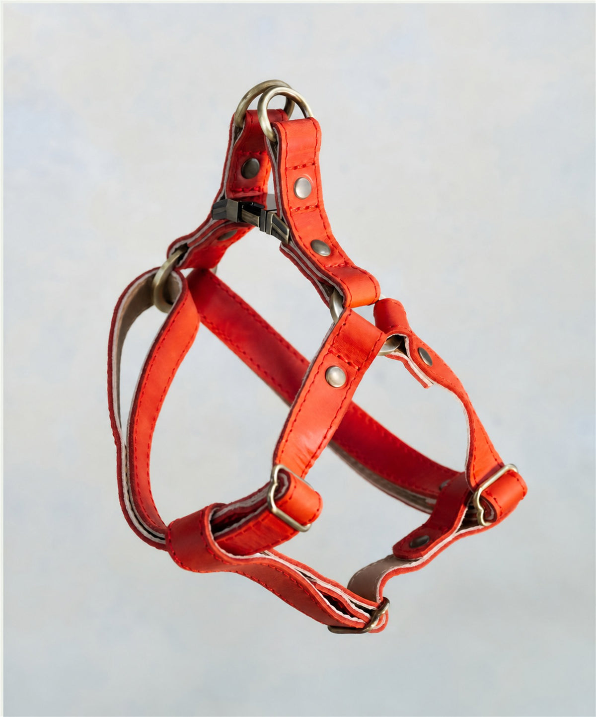Red leather dog harness in Poppy Red with adjustable straps