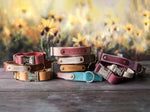 Engraved leather dog collar with name patch