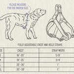 Leather Dog Harness