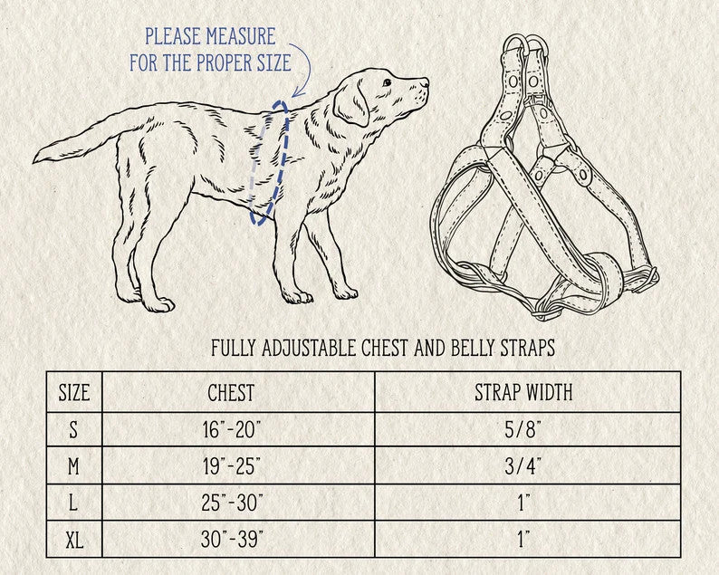 Leather Dog Harness