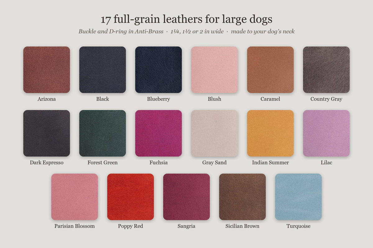 The 17 full-grain leather colors for the large dog collar, from Arizona and Black to Sicilian Brown and Turquoise