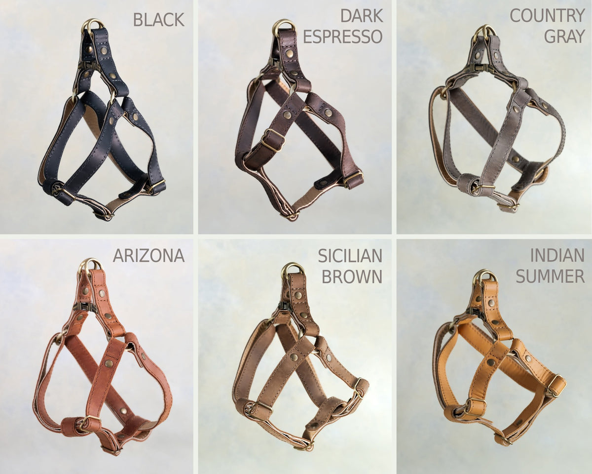 Leather dog harnesses in nine of the 17 leather colors
