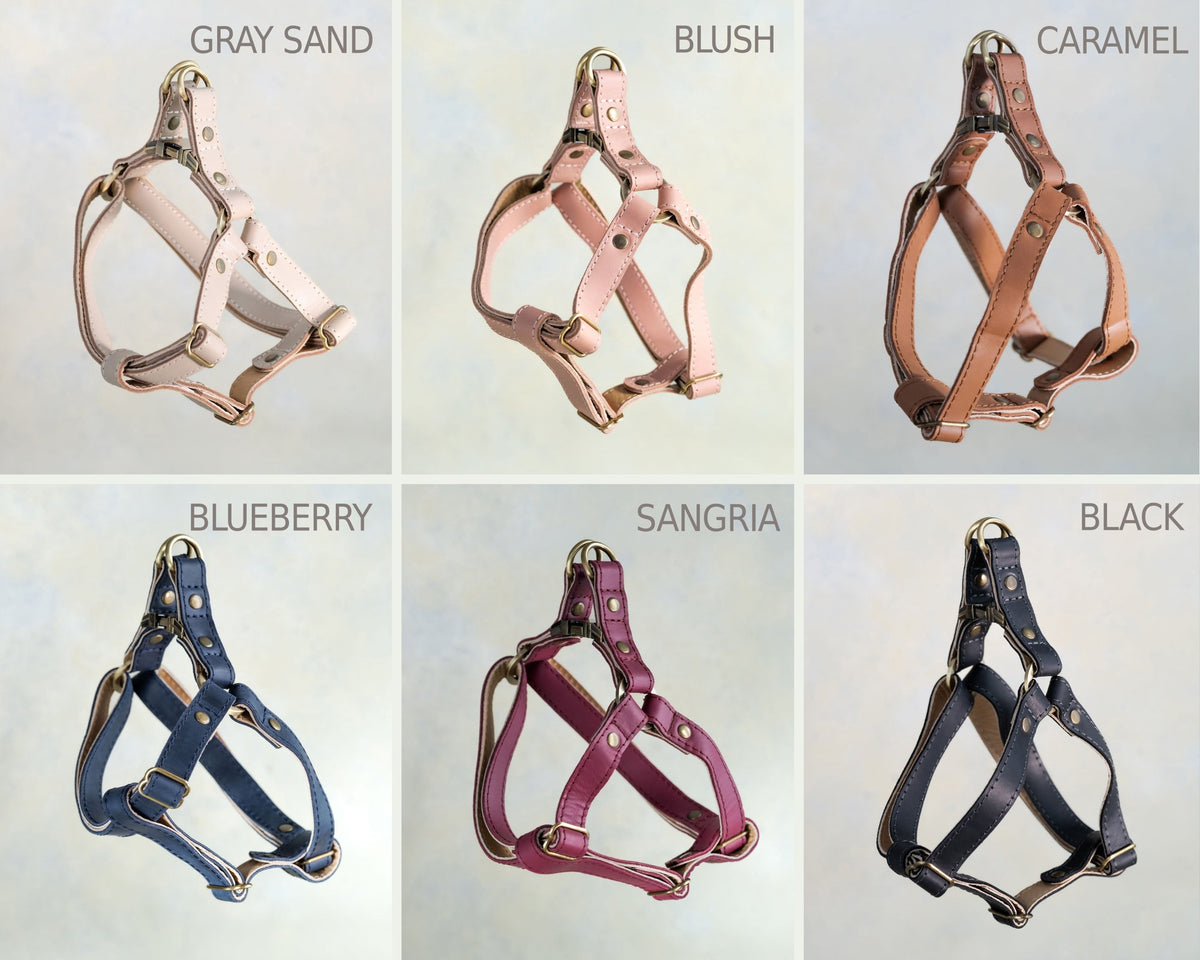 Leather dog harnesses in eight more leather colors