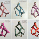 All 17 leather colors of the dog harness side by side