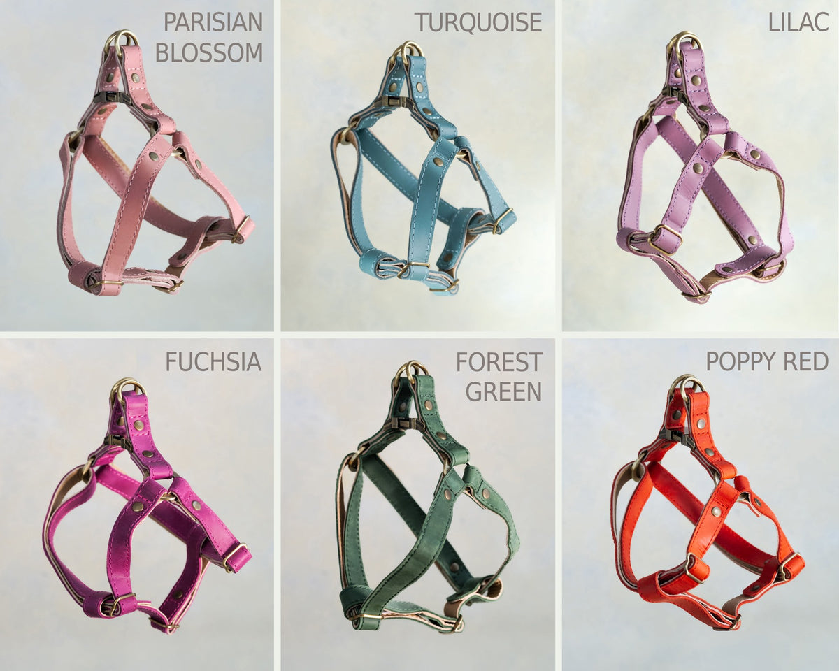 All 17 leather colors of the dog harness side by side