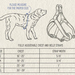 Leather dog harness size chart, S to XL by chest and strap width