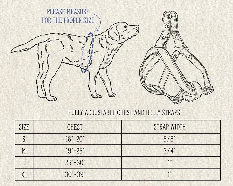 Leather dog harness size chart, S to XL by chest and strap width