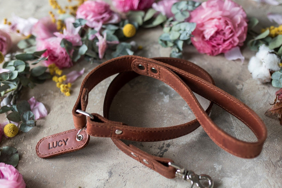Leather dog leash in Arizona with a debossed name tab