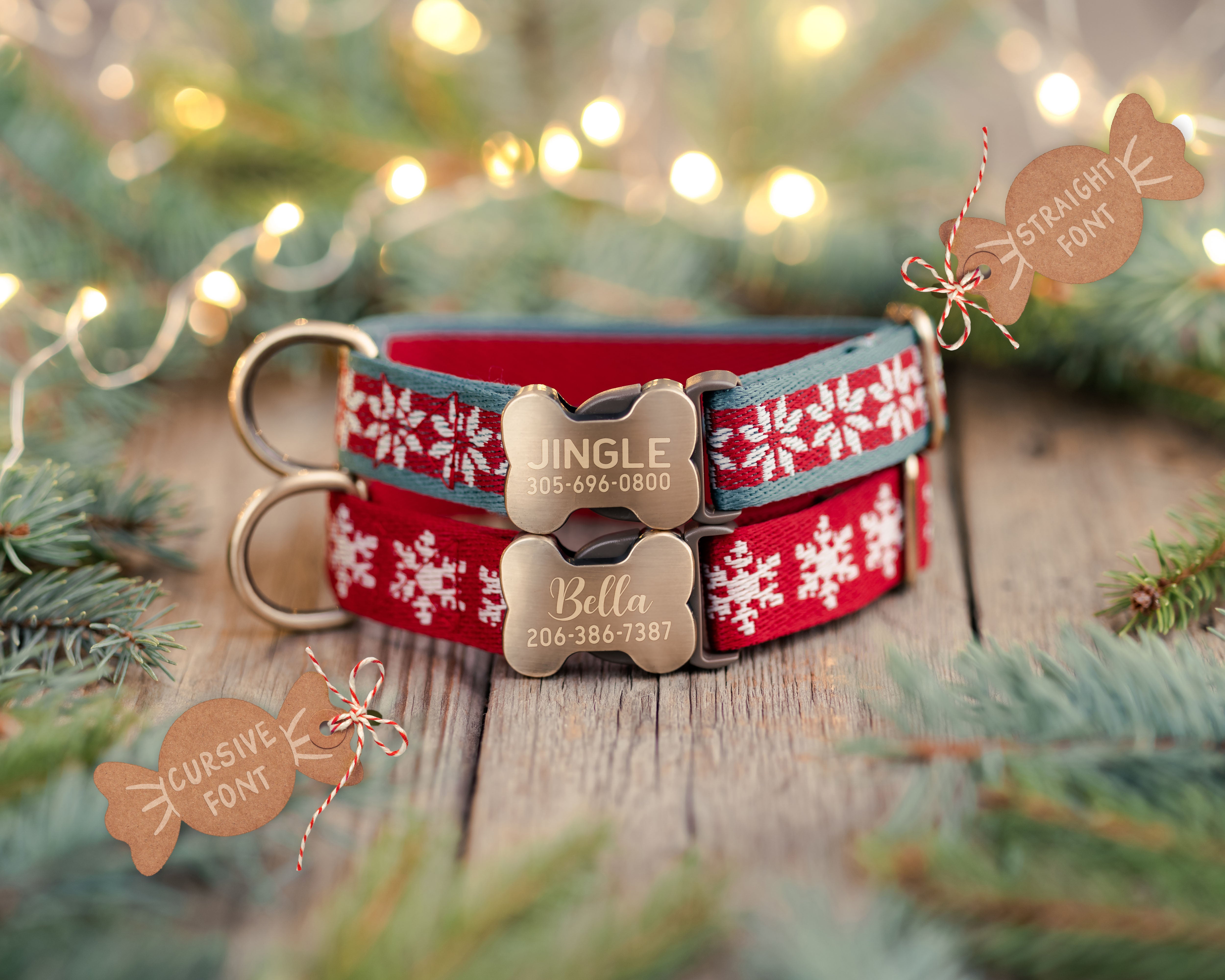 Christmas Special Dog Collar Gift Set