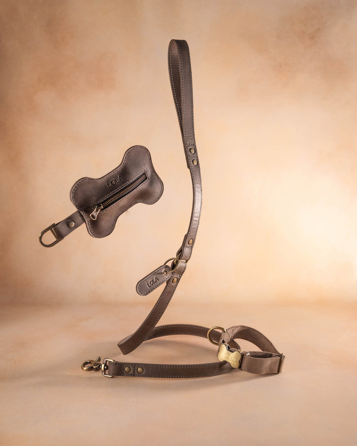 Matching Country Gray leather leash, collar and bone-shaped poop-bag holder