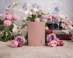 Personalized Passport Cover / Travel Wallet In Blush Leather