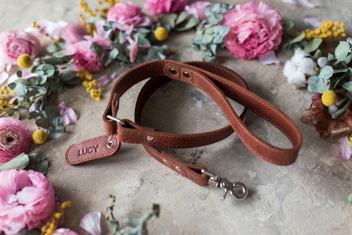 Personalized Arizona leather dog leash with the name Lucy on the tab