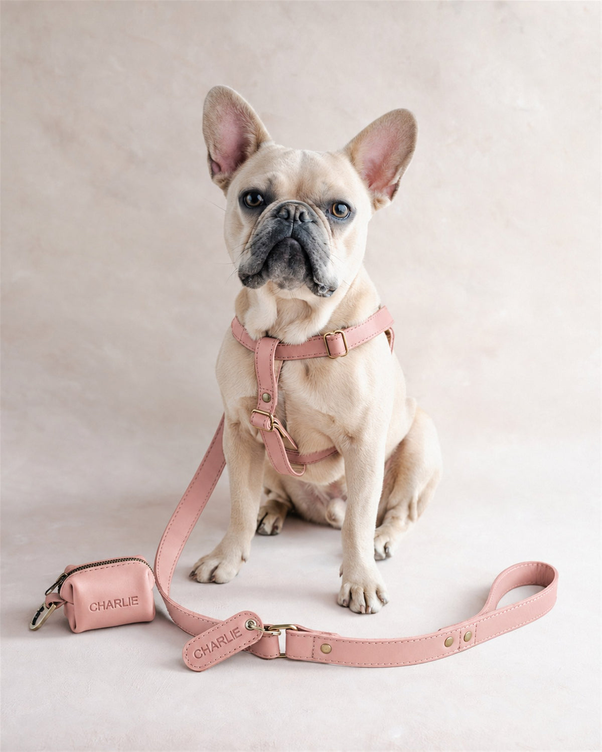 French bulldog in a Blush pink leather harness with a matching pink leash and bag holder