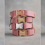 Pink leather dog collars in three shades side by side: Blush, Parisian Blossom and Fuchsia, with engraved quick release buckles