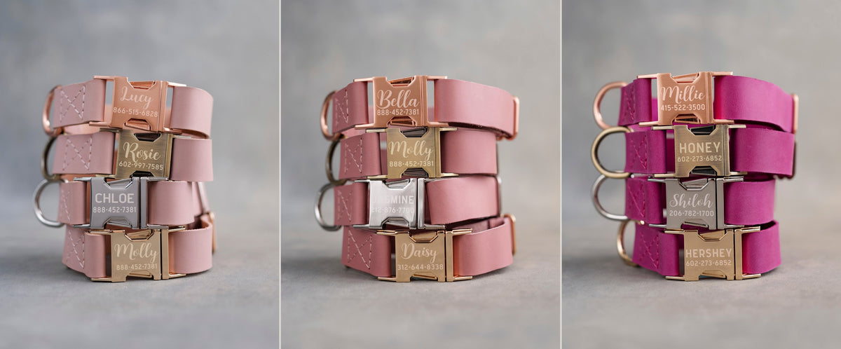 Pink leather dog collars in three shades side by side: Blush, Parisian Blossom and Fuchsia, with engraved quick release buckles