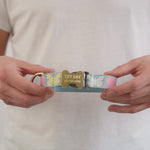 Personalized dog collar with name engraved