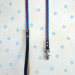 Two thin webbing leashes in blue ric rac hanging side by side