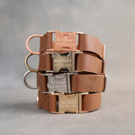 Engraved quick-release buckles on matching leather dog collars