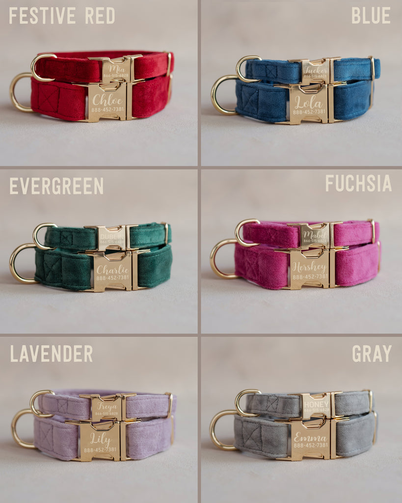 Velvet Dog Collar with fast release buckle