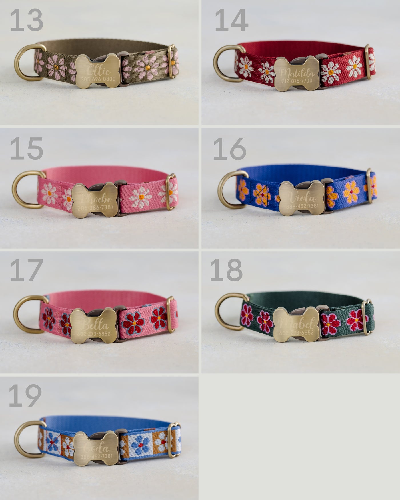 Personalized Dog Collar - Dog Collar and Leash Set - Custom webbing design collar