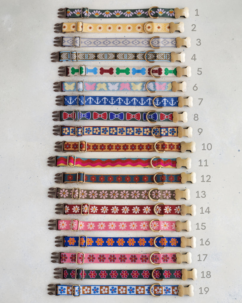 Personalized puppy collar