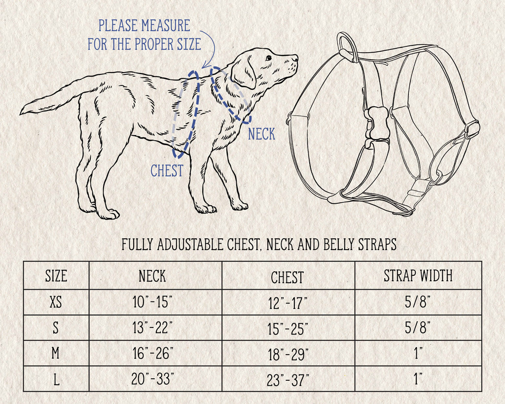 Webbing Dog Harness