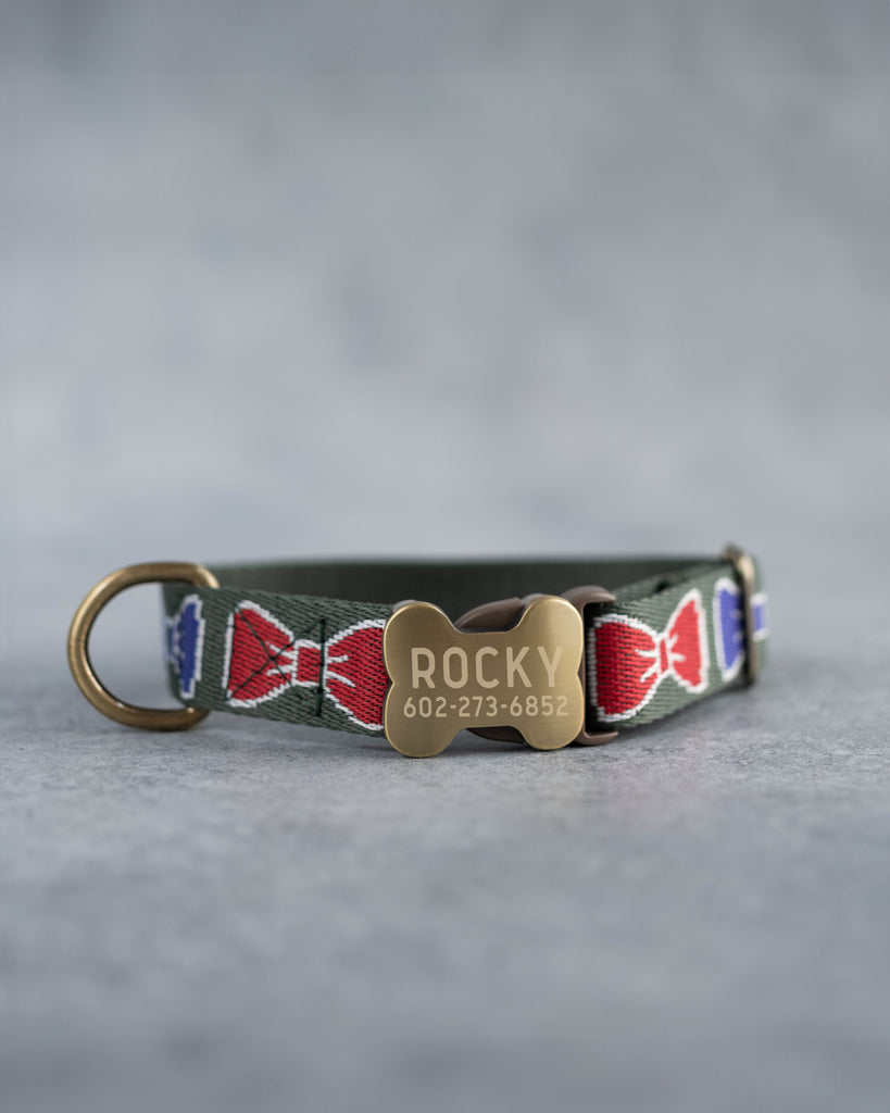 Personalized dog collar in the cutest webbing designs