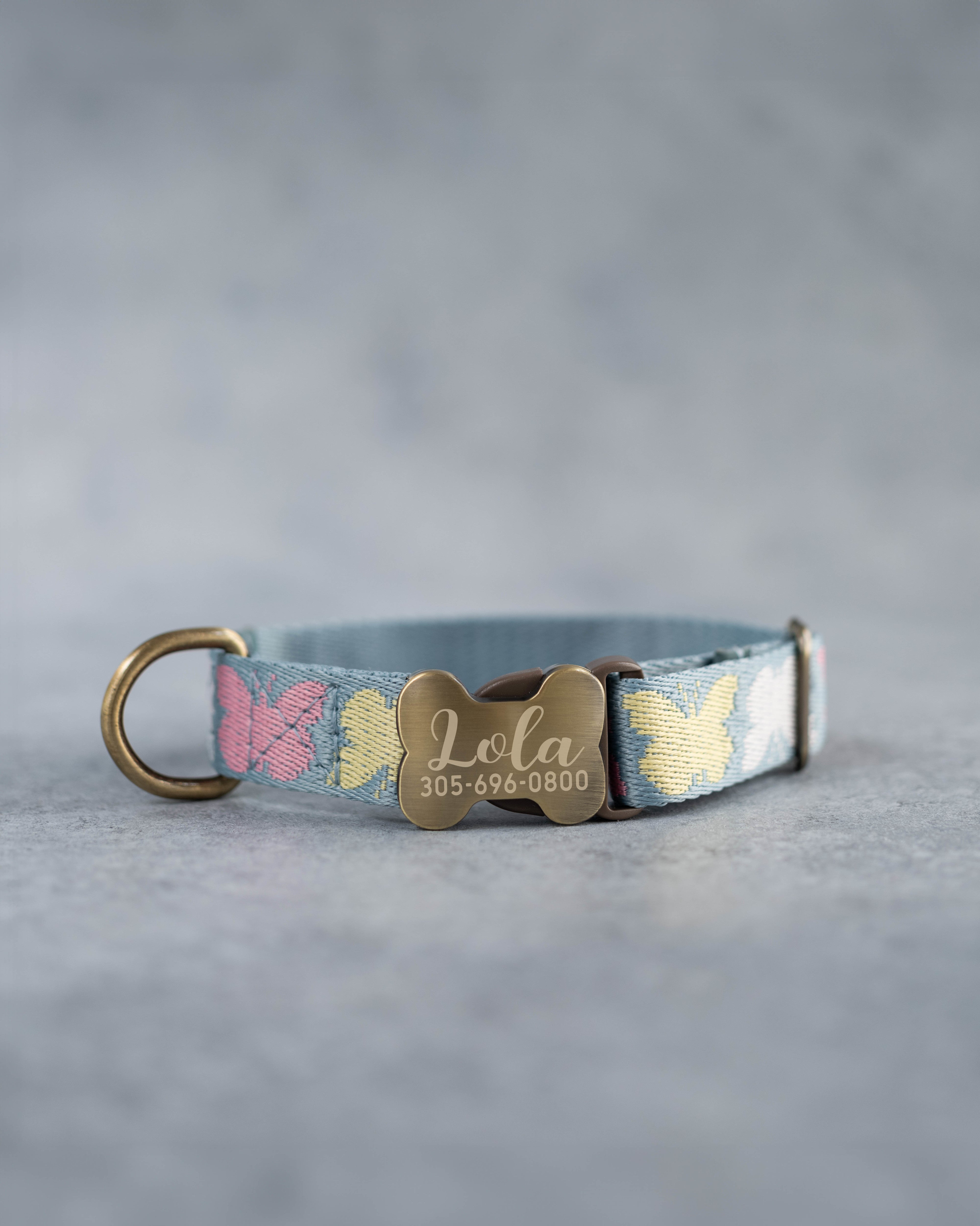 Personalized dog collar in the cutest webbing designs