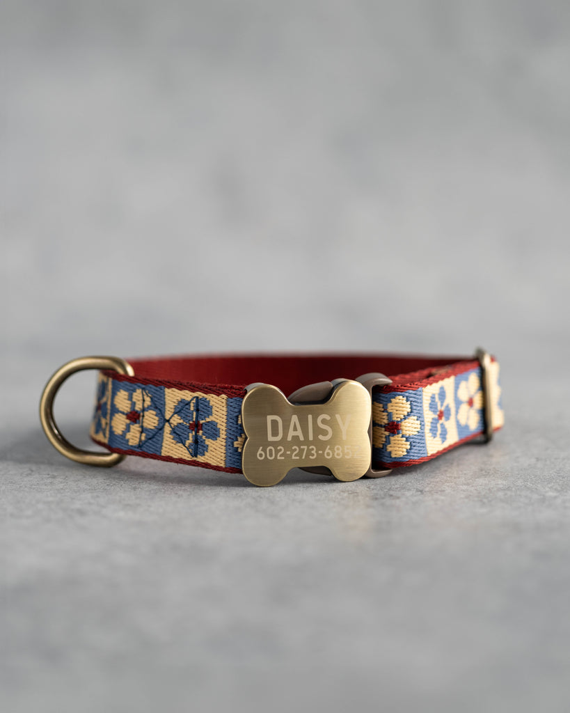 Webbing dog collar floral blue and red