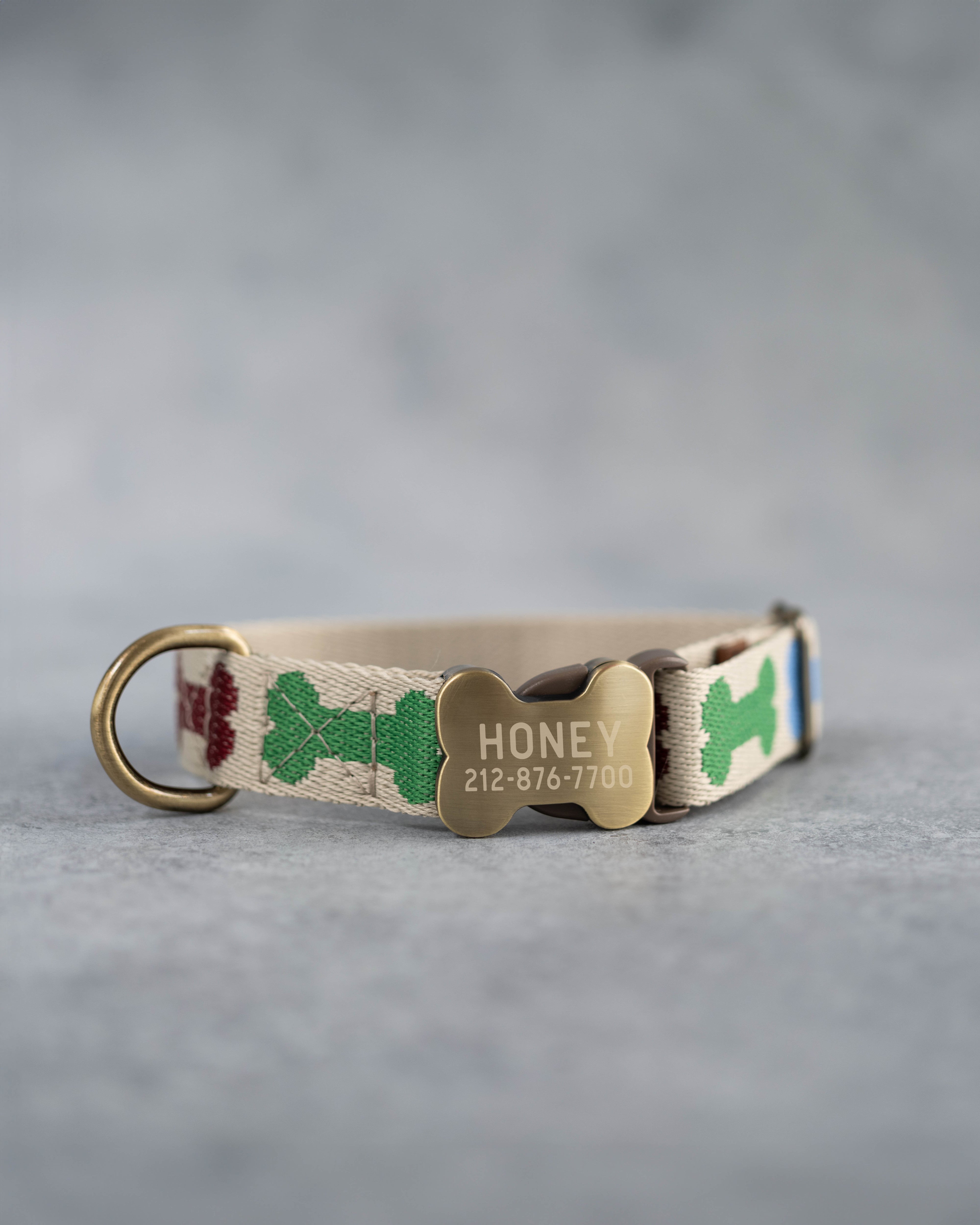 Personalized dog collar in the cutest webbing designs