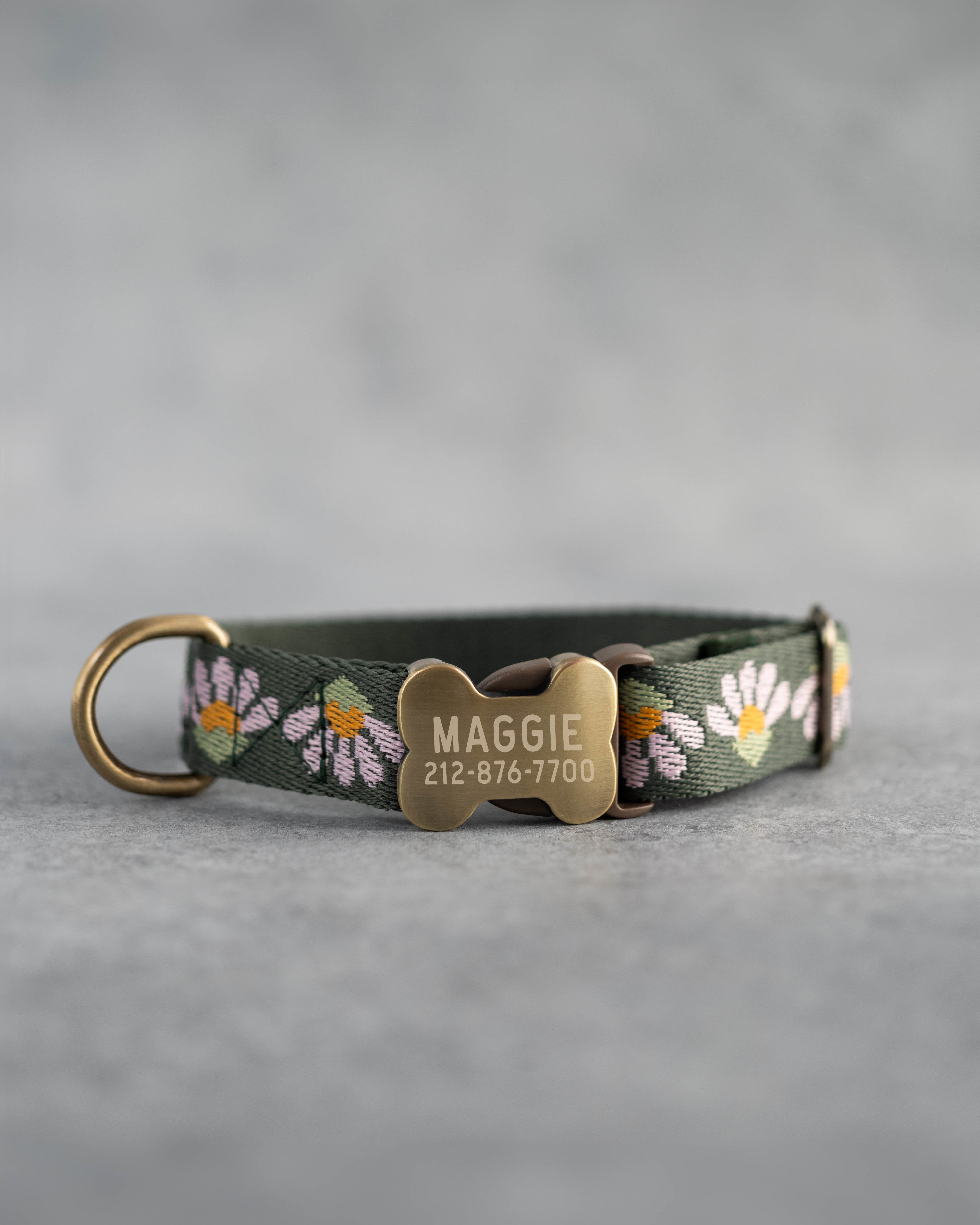 Custom dog collar in variety of designs