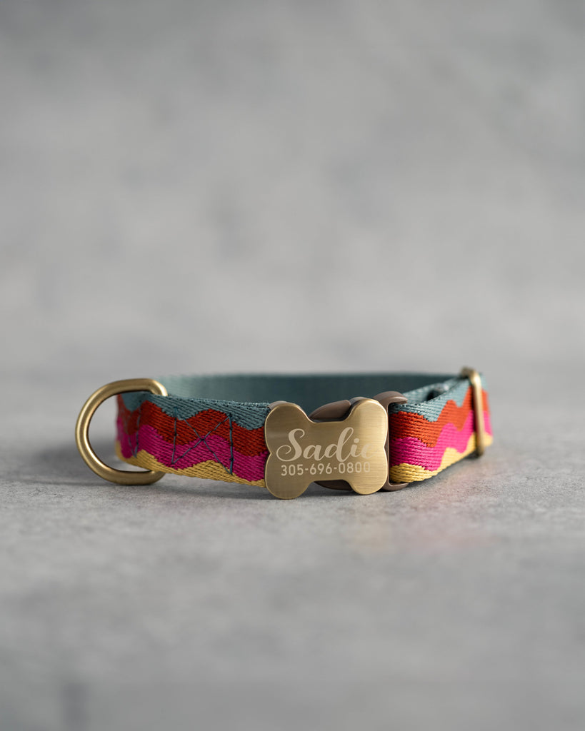 Personalized puppy collar