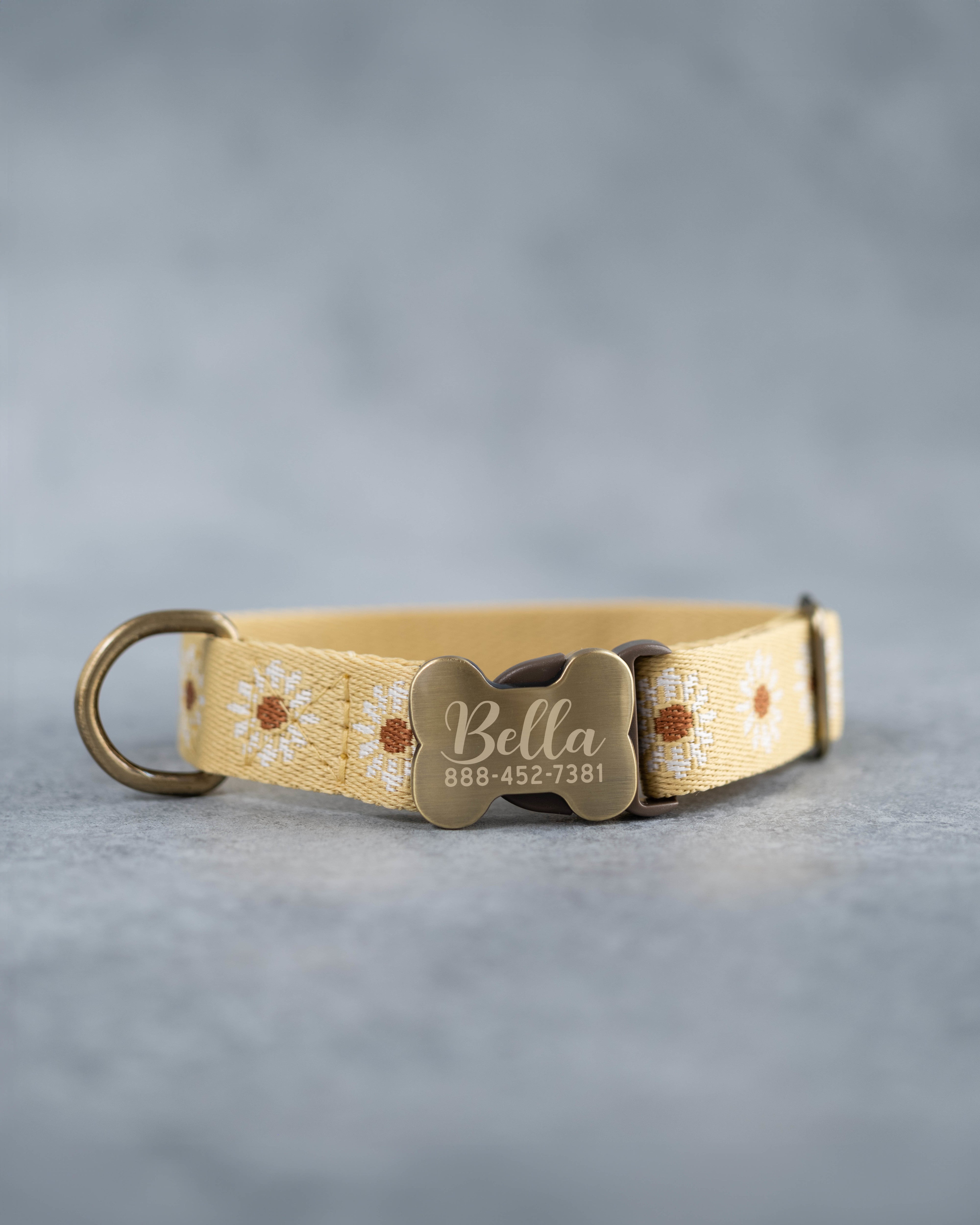 Personalized dog collar in variety of webbing designs