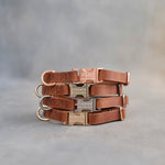 Dog Collar in Arizona leather with fast release buckle