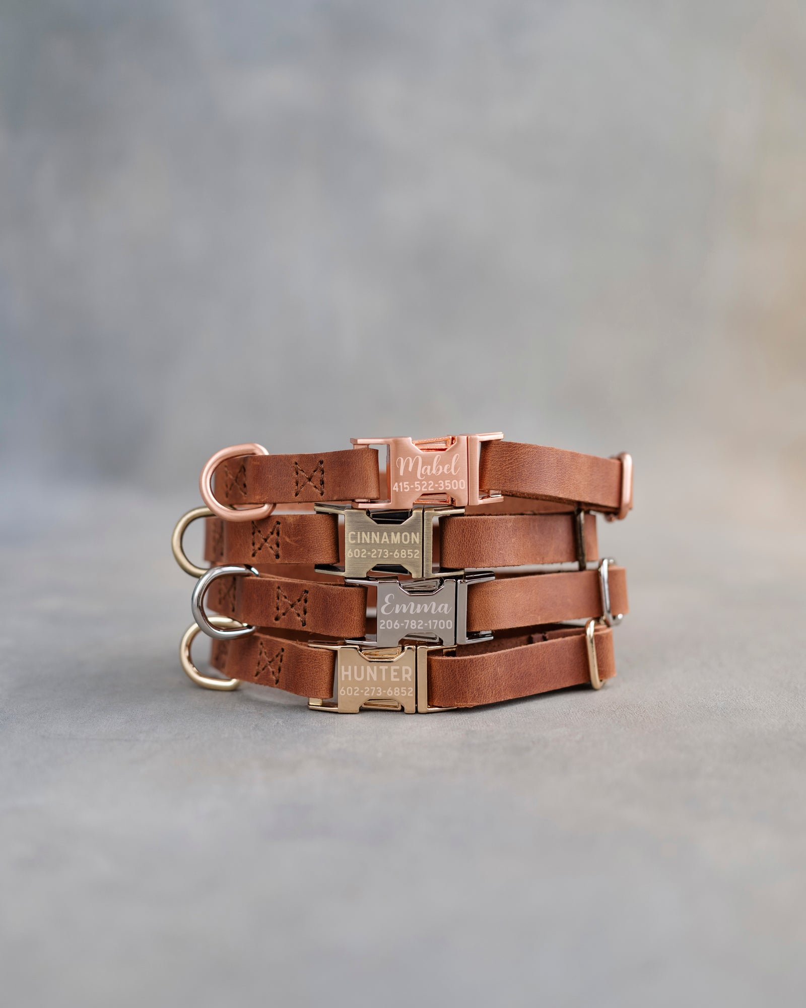 Dog Collar in Arizona leather with fast release buckle