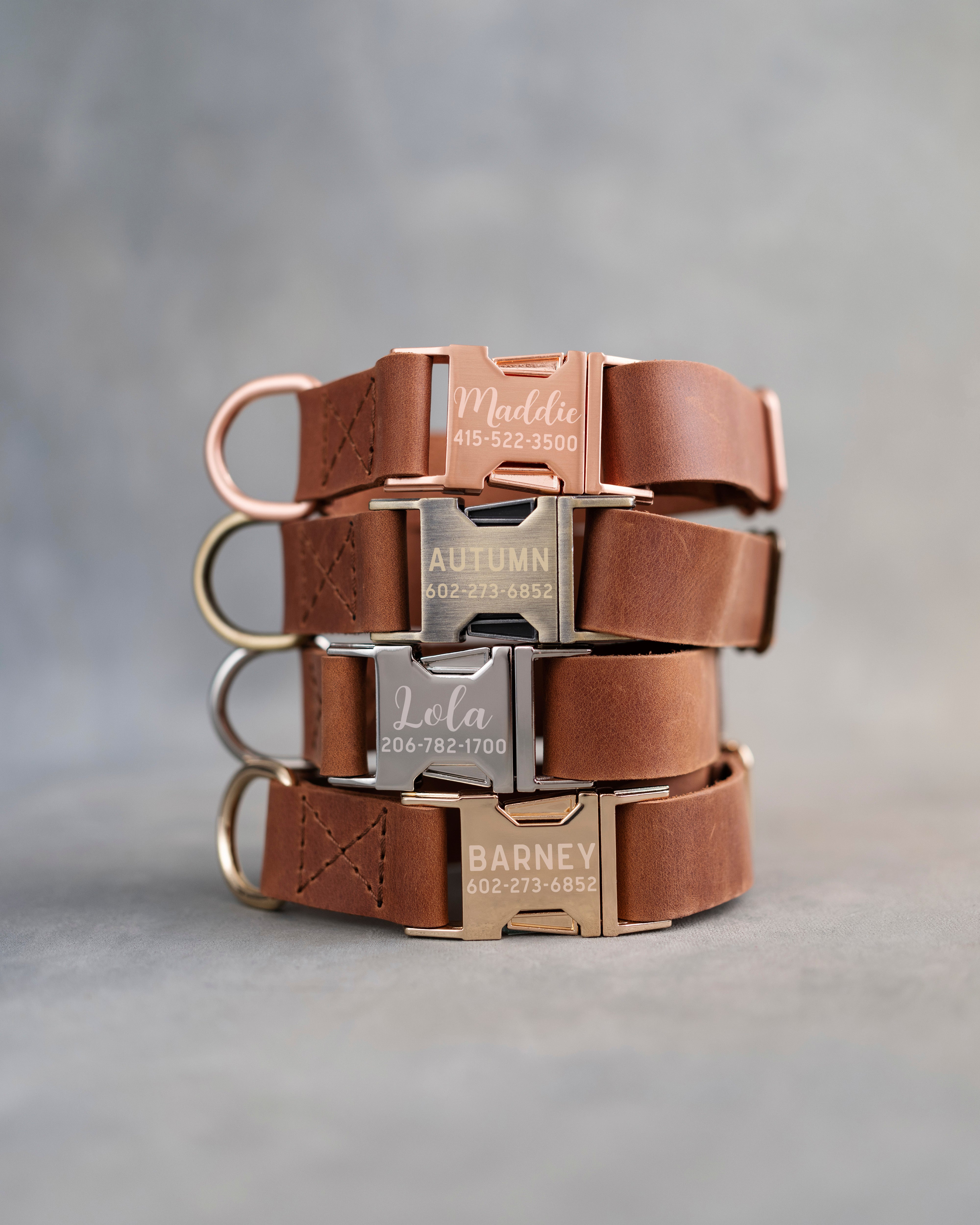 Dog Collar in Arizona leather with fast release buckle