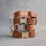 Dog Collar in Arizona leather with fast release buckle