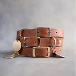 Arizona caramel leather dog collars stacked with pin buckles and a round engraved ID tag