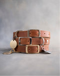 Dog Collar in Arizona leather with classy pin buckle