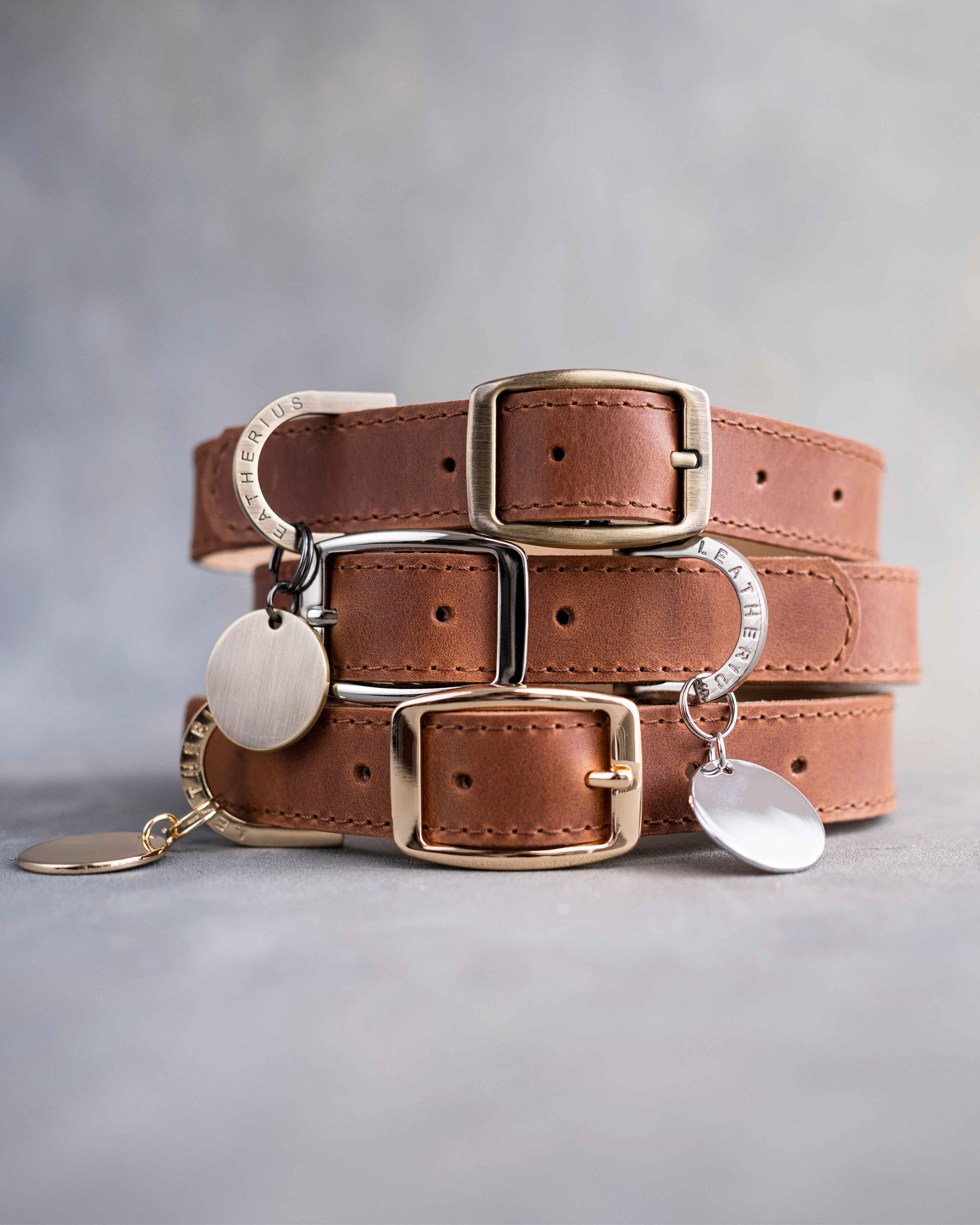 Dog Collar in Arizona leather with classy pin buckle