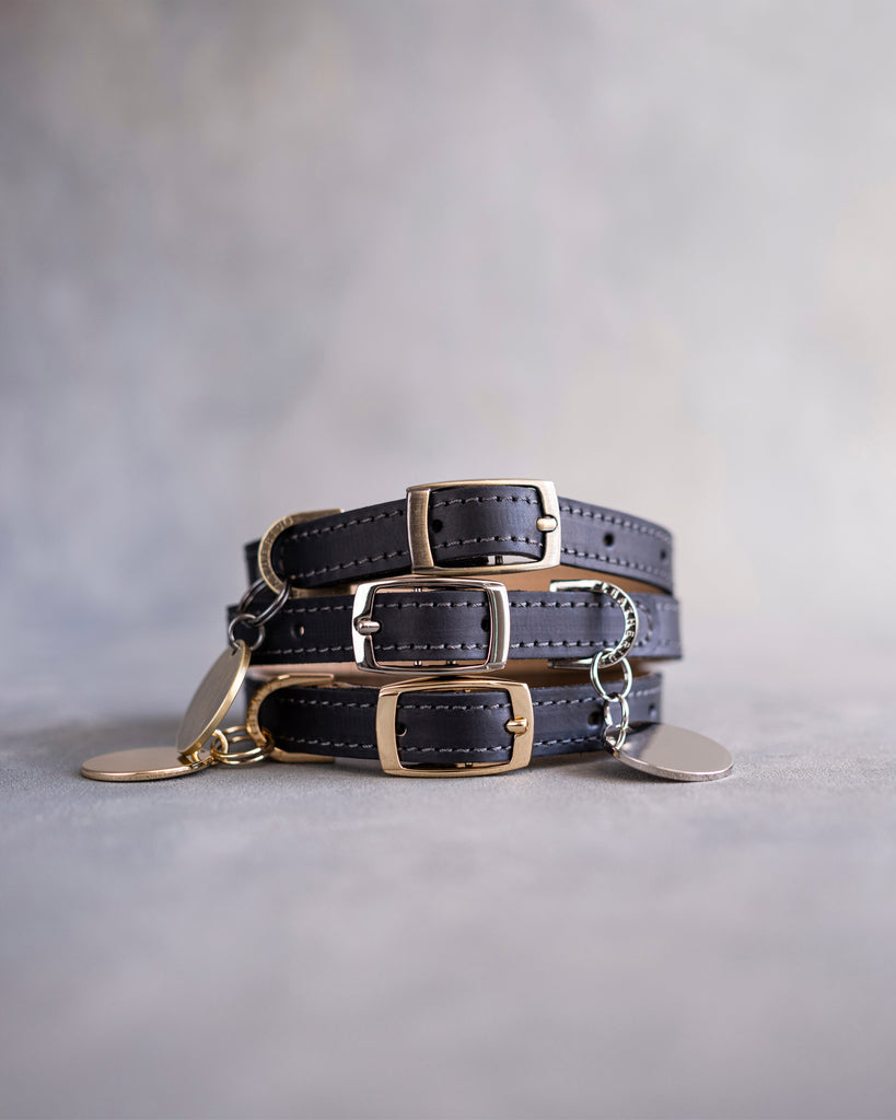 Dog Collar in Black leather with classy pin buckle