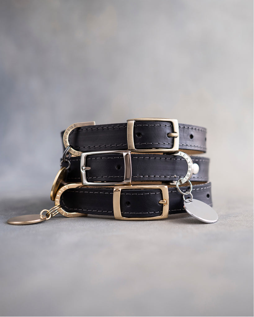 Dog Collar in Black leather with classy pin buckle