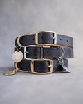 Dog Collar in Black leather with classy pin buckle