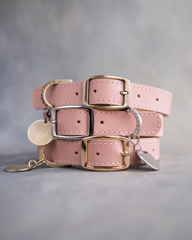 Dog Collar in Blush leather with classy pin buckle