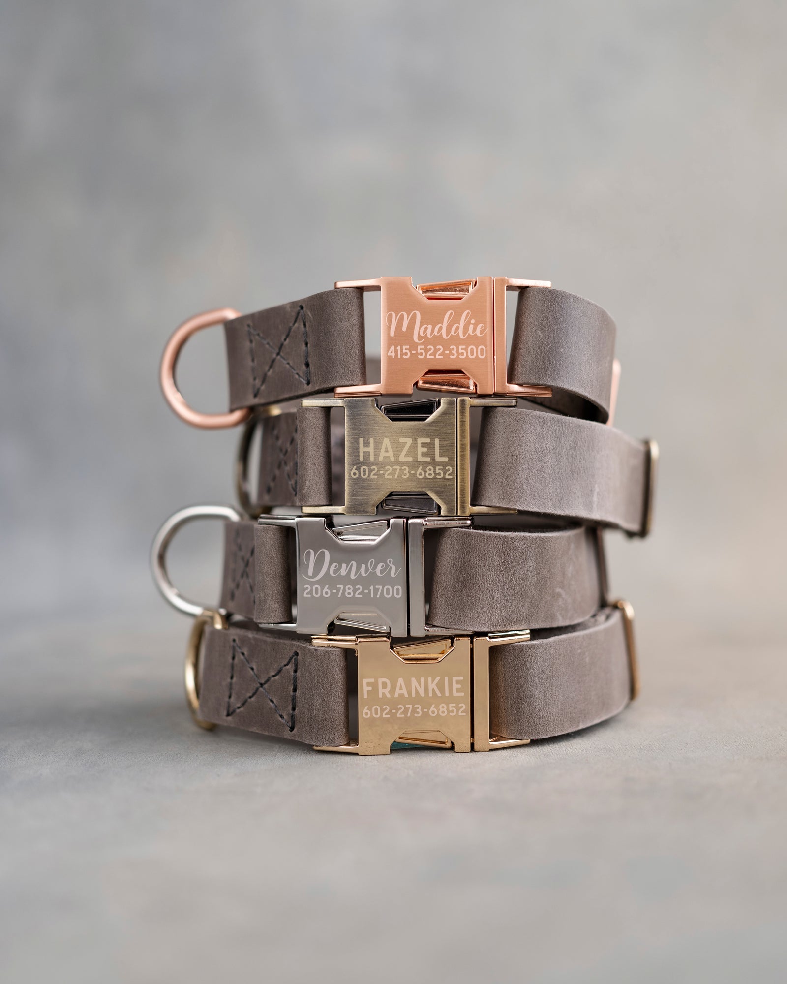 Dog Collar in Country Gray leather with fast release buckle