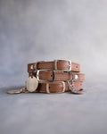 Dog Collar in Caramel leather with classy pin buckle
